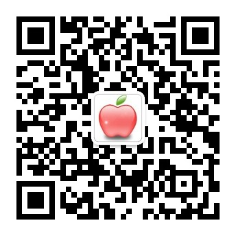 中引文化