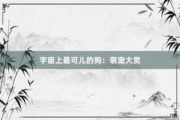 宇宙上最可儿的狗：萌宠大赏