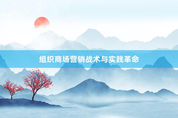 组织商场营销战术与实践革命